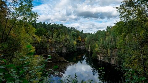 Das Naturschutzgebiet Oberwaldsee in Mühlheim-Dietesheim. 