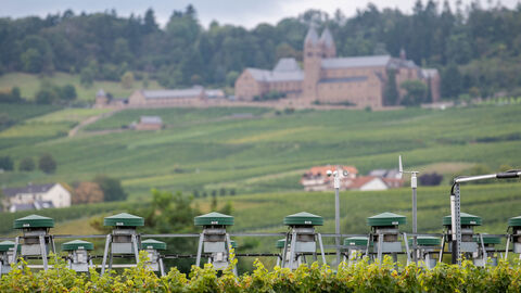 Ministerpräsidenten Rhein und Wüst informieren sich über Spitzenforschung und Lehre an der Hochschule Geisenheim